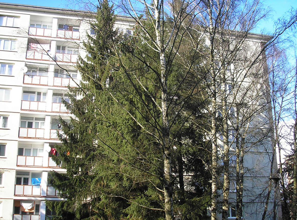 Životne dôležitá, a predsa zanedbávaná