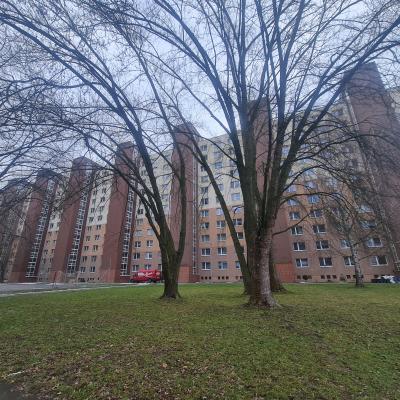 Inbound350806211296803707