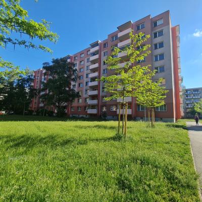 Popradska Balkony 1